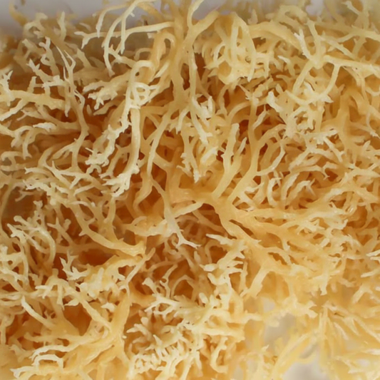 Irish Sea Moss