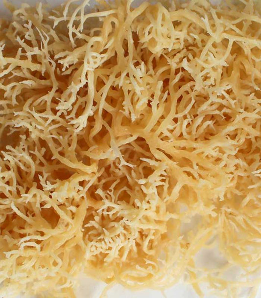 Where to Buy High-Quality Sea Moss?