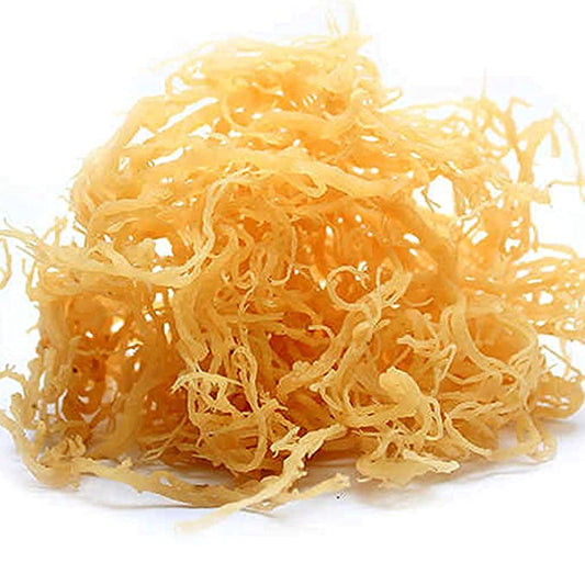 6 Health Benefits of Sea Moss