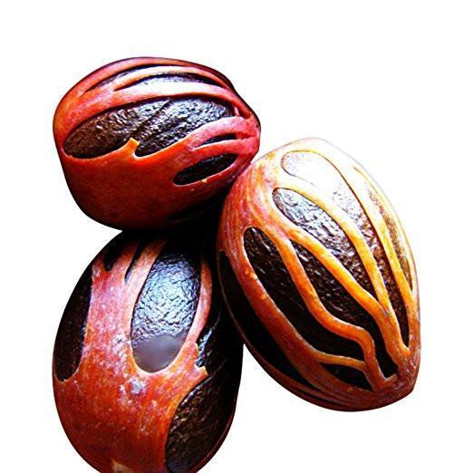 What is the difference between nutmeg and mace?