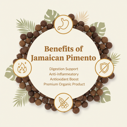 2Tre Organics Whole Pimento Allspice Berries – USDA Organic | Pimenta dioica | 8 oz Resealable Bag