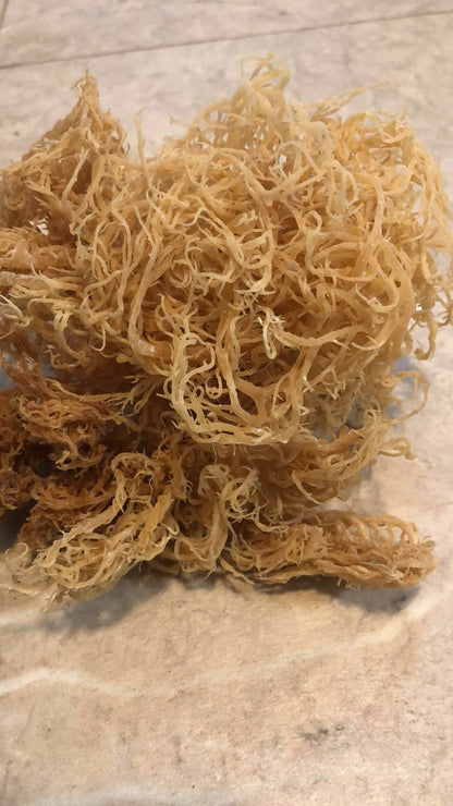 Wildcrafted Irish Sea Moss Raw - Make your own Sea Moss Gel!